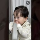 미미제과점