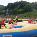 용인대 한신 태권도 이미지