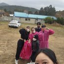 워너비독 이미지