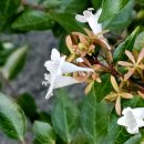 하얀꽃어린이공원 이미지