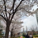 팀리스펙트 | 외근은 달콤해 연남동 빕구르망 라멘 사루카메 후기