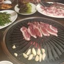 낙동생오리화원점 이미지