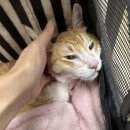 방배천로8-8 이미지