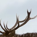 제세현한의원 이미지