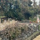 오금농장 이미지