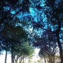 영락공원 이미지