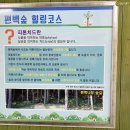 소나무 흑염소 목장 이미지