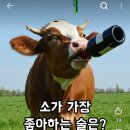 주말맞이 아재개그 나갑니다~~~~♡ 이미지