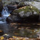 맑은물소리 이미지