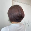 살롱드 봄 헤어 이미지