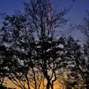 숲속의 하루 이미지