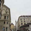 성포동성당앞보도 | 동유럽 여행(3) 오스트리아 빈시청 크리스마스 마켓 벨베데레 슈테판성당