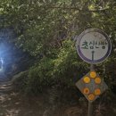 초심산방