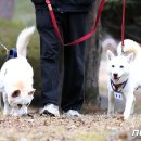 송강동물병원 이미지