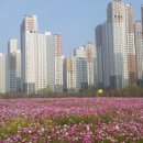 e편한세상광교아파트 이미지