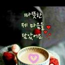 햇살커피