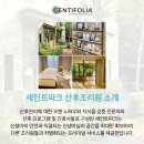 세인트메디칼서비스 이미지