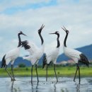 약수온천탕 | [예산 덕산온천] 상처 입은 학이 고친 물? 세심천 온천 호텔에서 즐기는 가족 힐링 온천 여행