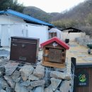세븐일레븐 창녕이방옥야점 | 경남 창녕 촌캉스&#34;어느주택&#34;🏡🐈(with. 12마리 냥냥이들)