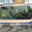 새만금횟집 이미지