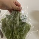 광채농장 이미지