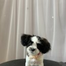 큐티살롱 이미지