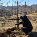 재식농장 이미지