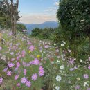 태안가곡제 이미지