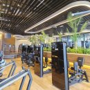 재즈 플레이 Play Book | 헬스장 운동 멤버십 어플 잼플, 강남역 하이랙스 강남점 운동후기