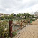 서울역촌초등학교 이미지