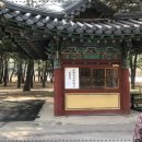 고향정 이미지