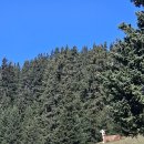 이탈리아를만나다 | 오직 이탈리아 #15 | 돌로미티 아름다운 고원 알페디시우시를 만나다.