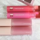 포쉬퍼피 이미지