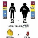 드림핏점핑다이어트