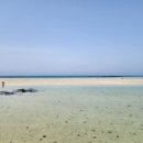 제주풀북 이미지