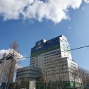 노원미용실 염색추천 네이처헤어 상계백병원점 단풍점장님