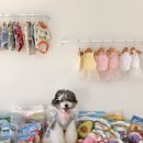 몽몽까까 이미지