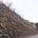 비타민 팜 오토캠핑장 이미지