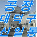 써니상사 이미지