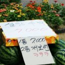 길성상사 Daum카페