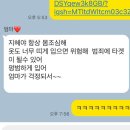 25년 후기 낋입니다
