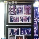 월드헬스크럽 이미지