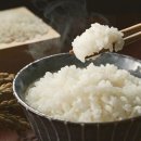 오늘반찬부식 이미지