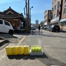 [용산/테니스] 서울 24시간 실내 테니스 연습장 용산 세컨드랠리 이용후기