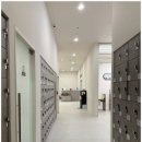 아레나휘트니스 이미지