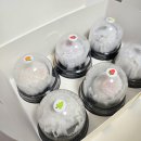 경북떡방앗간 | 경주여행 황리단길 디저트 달방앗간 과일 모찌 포장 후기