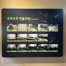 하경교육 | 경기도 광주 | 화담숲 여름 산책 ②자연생태관, 생각보다 볼거리 많았던 곳