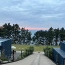 스테이노을 이미지