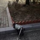 돈을 벌거나 쓰면 행복해집니다 광안리 베르크로스터스 러닝 후기 데카트론 상품 리뷰
