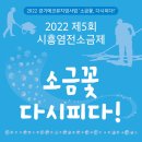 소금제